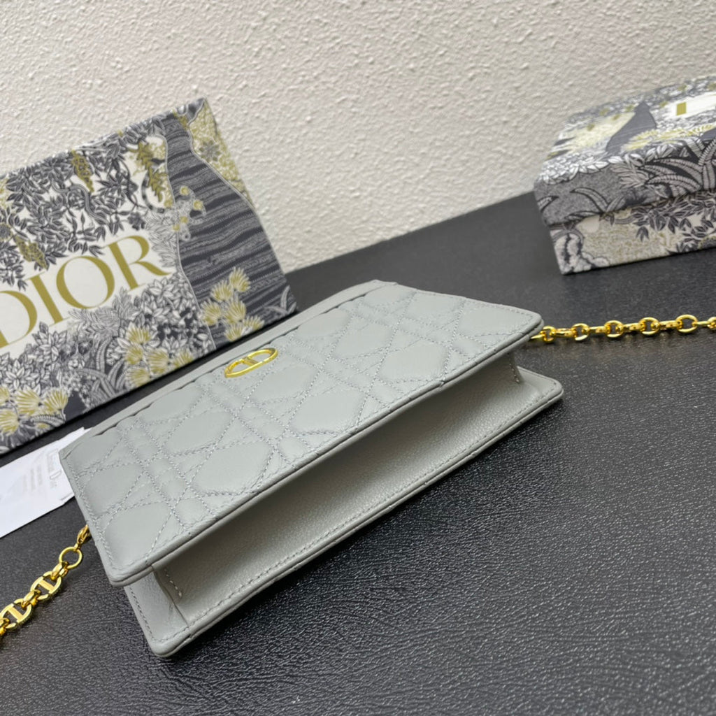 CARO POUCH 19 BAG IN GREY CALFSKIN