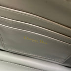 CARO POUCH 19 BAG IN GREY CALFSKIN