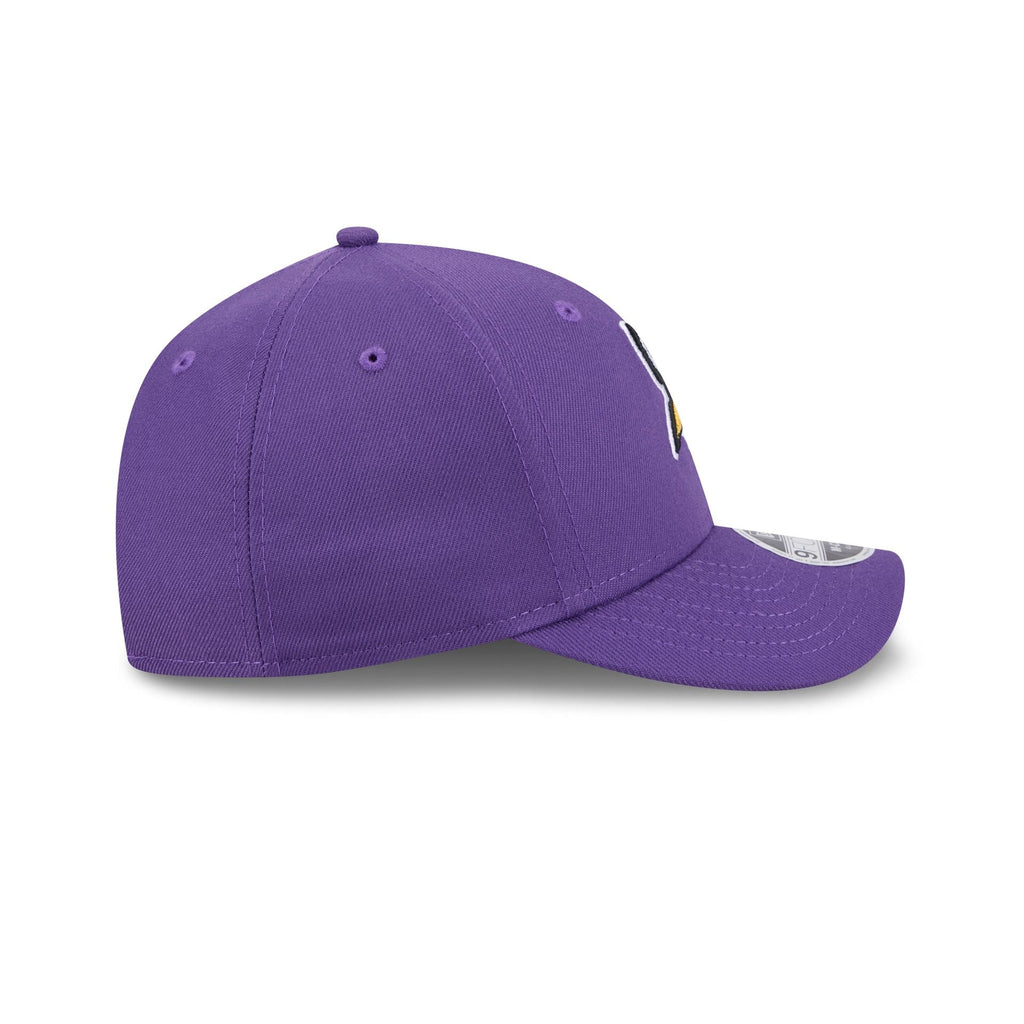 Minnesota Vikings Team 9FORTY M-Crown Snapback Hat