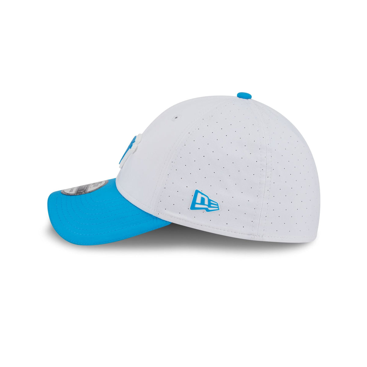 Carolina Panthers 2025 Training 39THIRTY Stretch Fit Hat