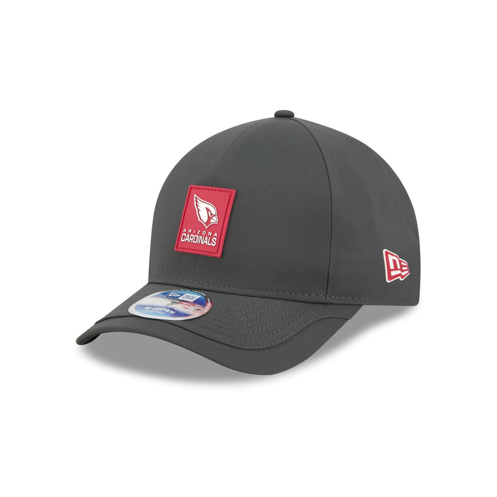 Arizona Cardinals 2025 Sideline Cold Weather Steel Clouds 9FORTY M-Crown Snapback Hat