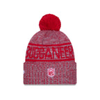 Tampa Bay Buccaneers 2025 Sideline Cold Weather Gray Pom Knit Hat