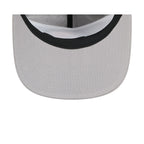 Pittsburgh Steelers Gray 19TWENTY Snapback Hat
