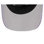 Minnesota Vikings Split Panel 9SEVENTY Stretch-Snap Hat