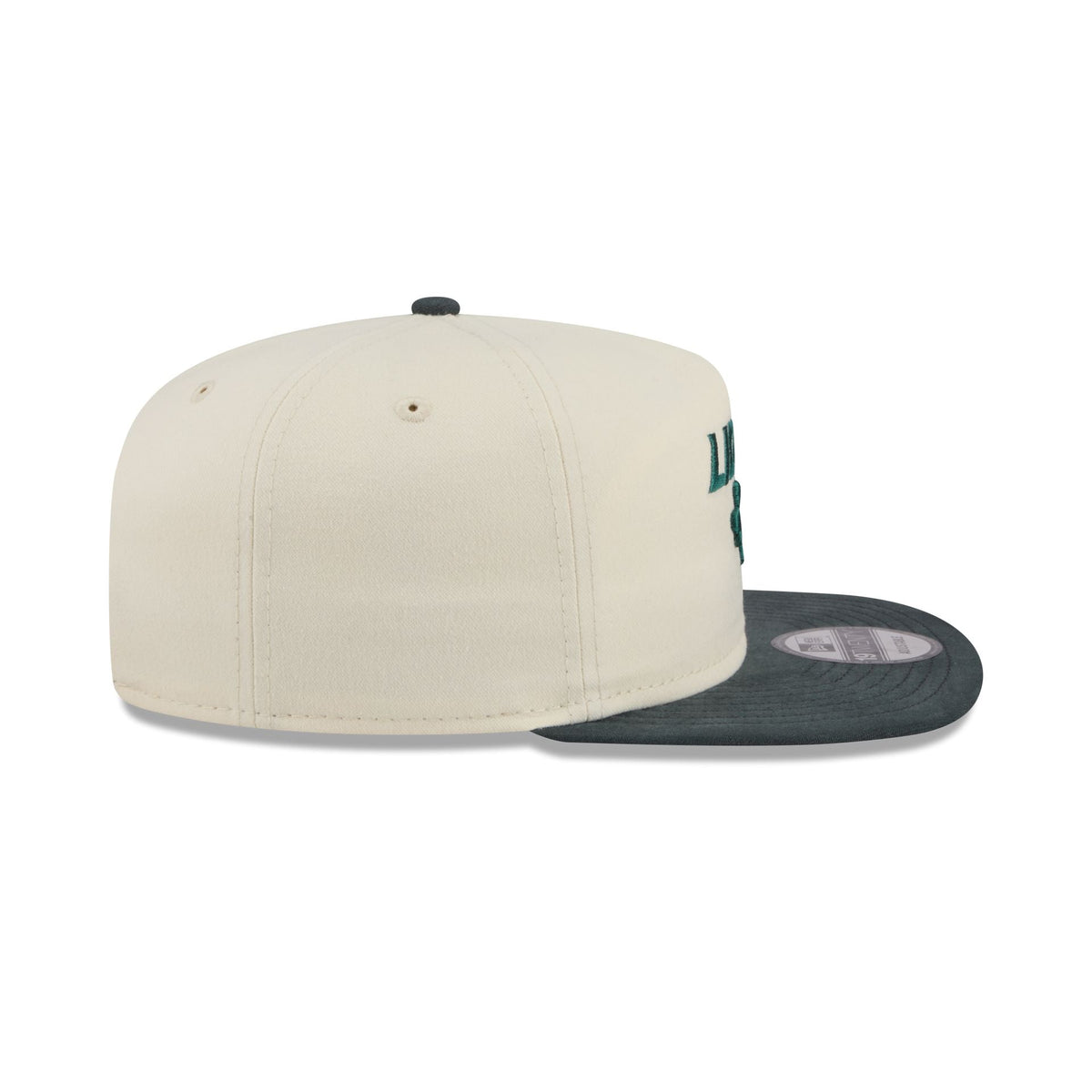 Detroit Lions Metallic Logo 19TWENTY Adjustable Hat