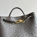 Bottega Veneta 2026 Andiamo Bag Dark Brown Ostrich Leather
