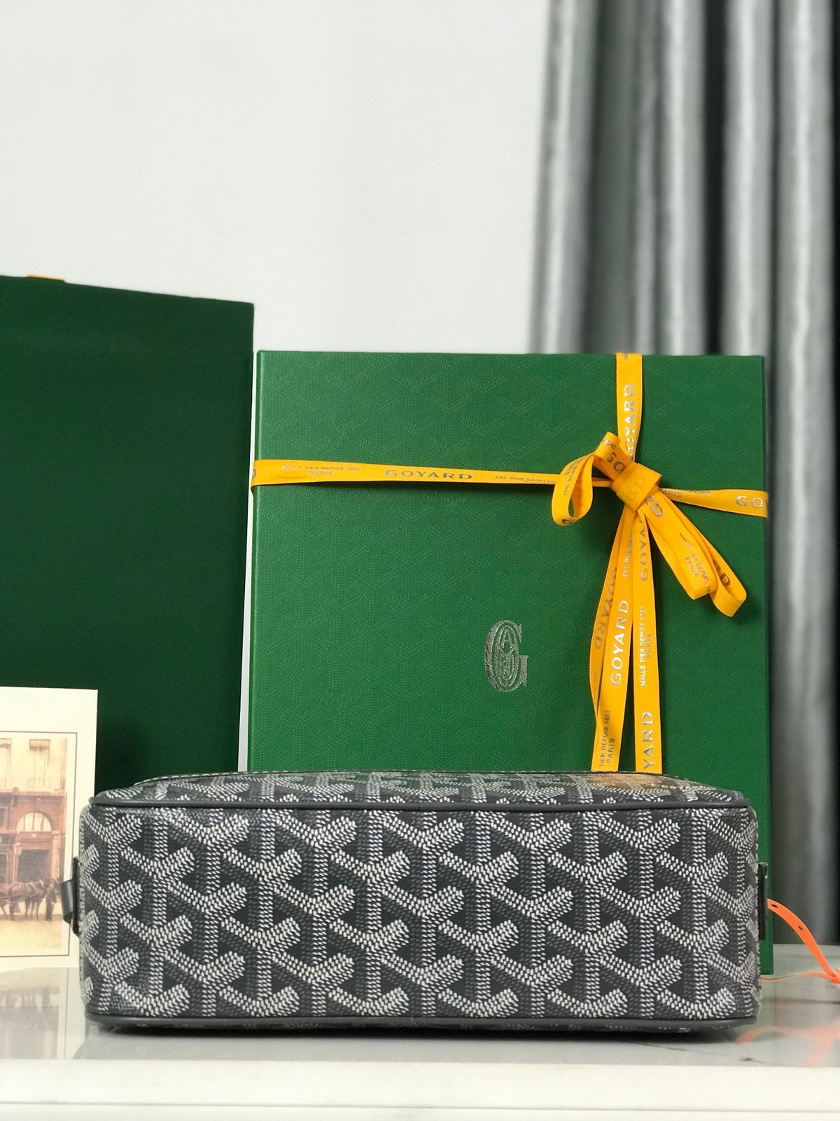 Goyard Cap-Vert Camera Bag Grey Calfskin Canvas 290855