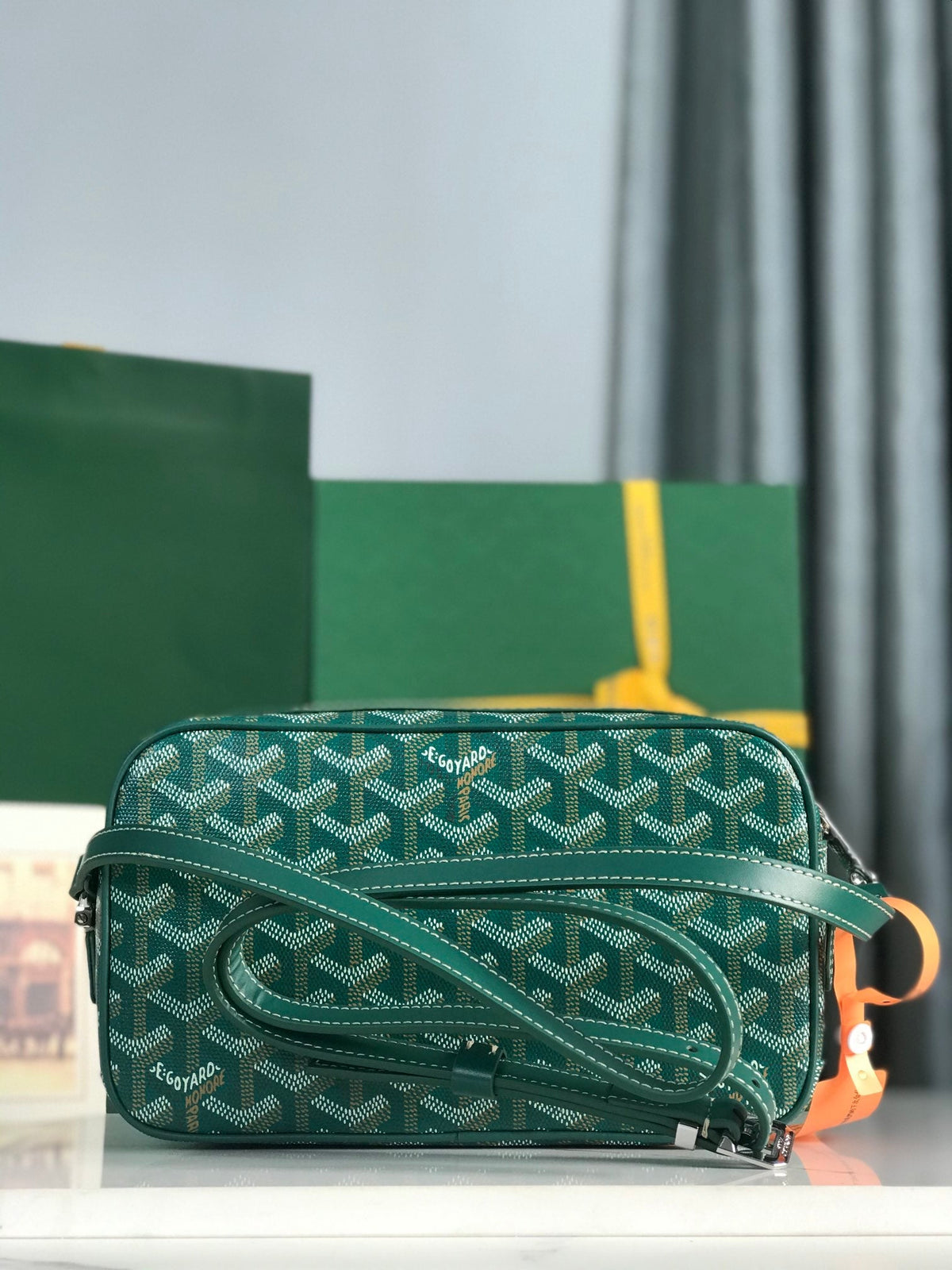 Goyard Cap-Vert Camera Bag Teal Green Calfskin Canvas 290858