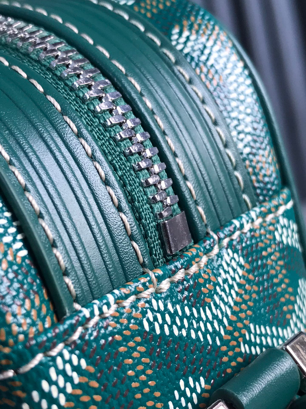 Goyard Cap-Vert Camera Bag Teal Green Calfskin Canvas 290858