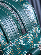 Goyard Cap-Vert Camera Bag Teal Green Calfskin Canvas 290858
