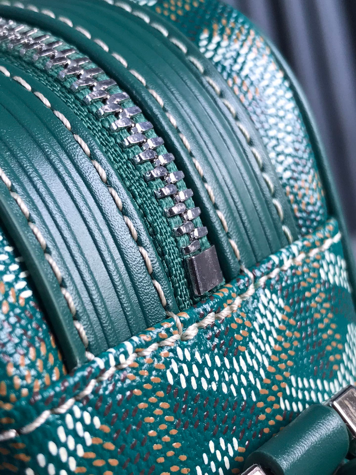 Goyard Cap-Vert Camera Bag Teal Green Calfskin Canvas 290858
