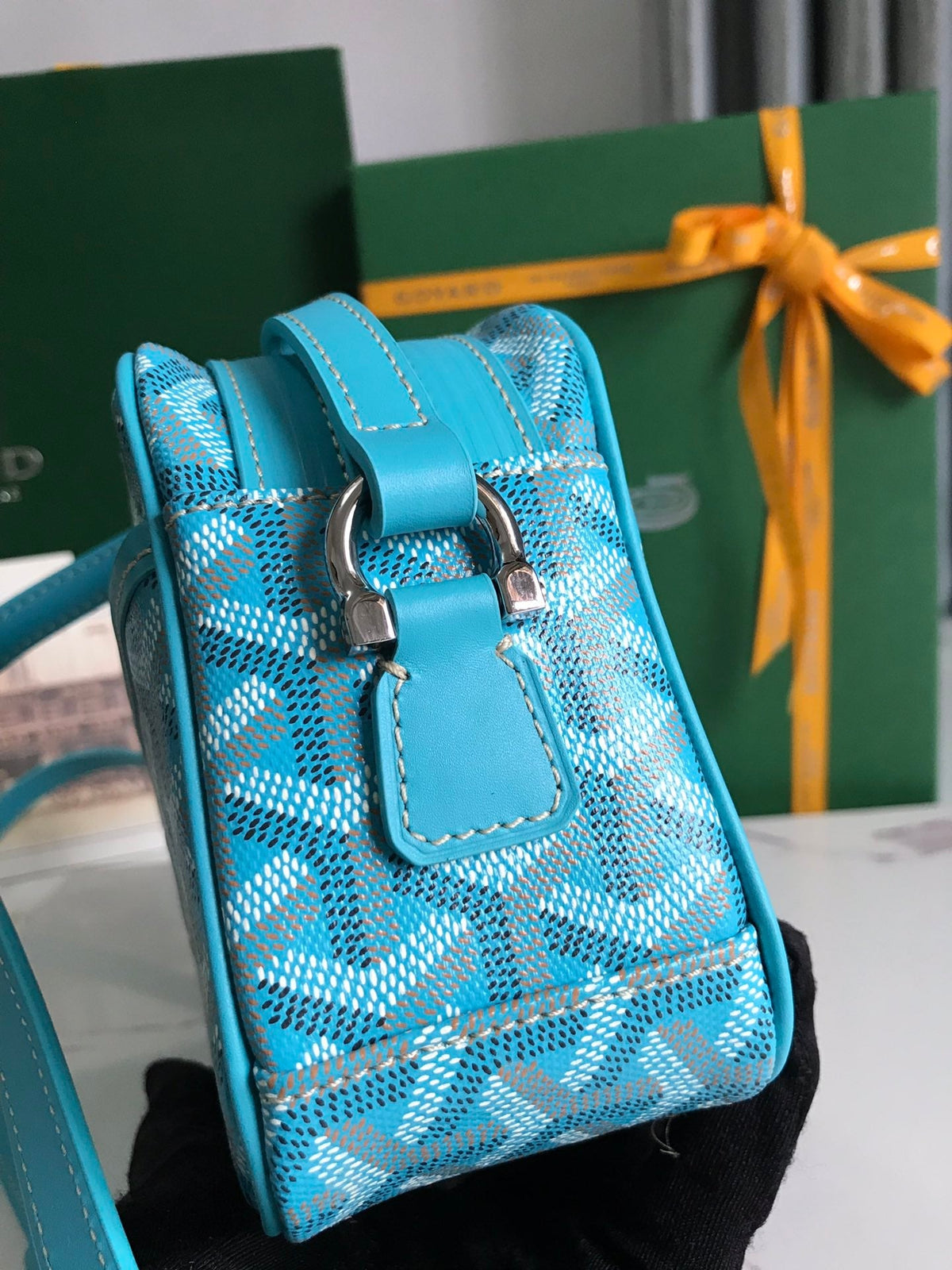 Goyard Cap-Vert Camera Bag Light Blue Calfskin Canvas 290861