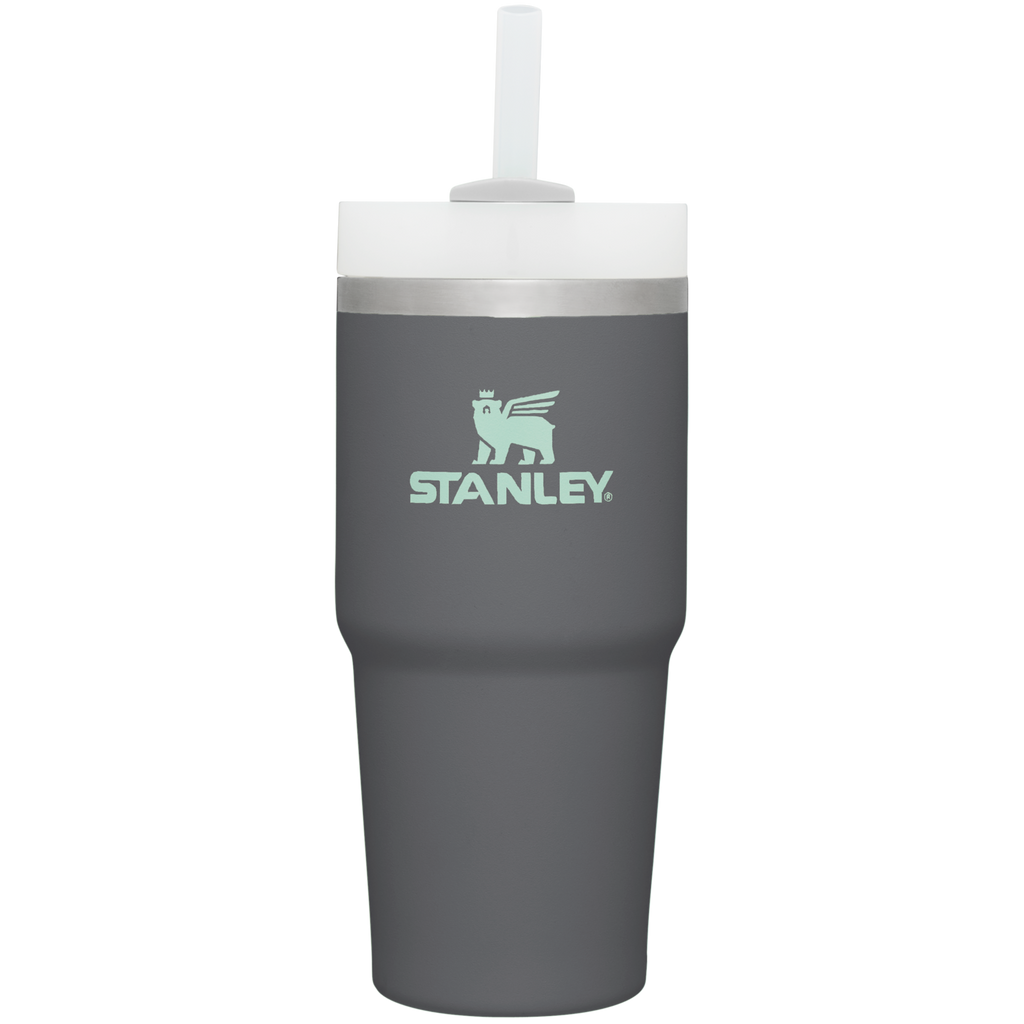 The Quencher H2.0 FlowState™ Tumbler  | 14 OZ - Stanley Create