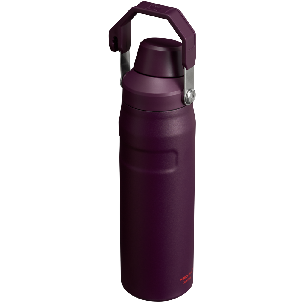 IceFlow™ Bottle with Fast Flow Lid | 24 OZ - Stanley Create