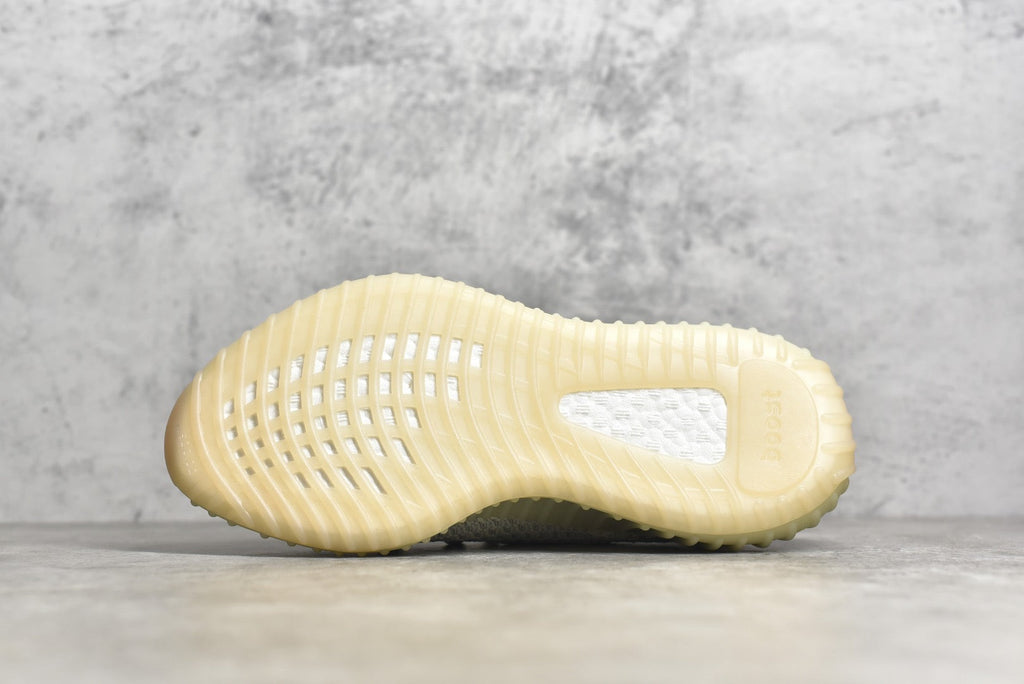 Yeezy 350 v2 19