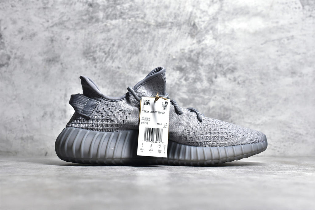 Yeezy 350 v2 10