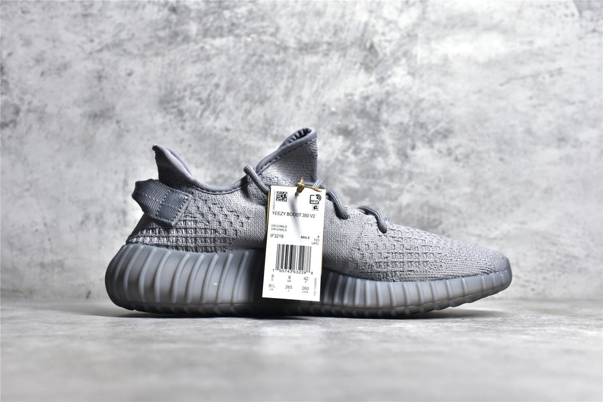 Yeezy 350 v2 10