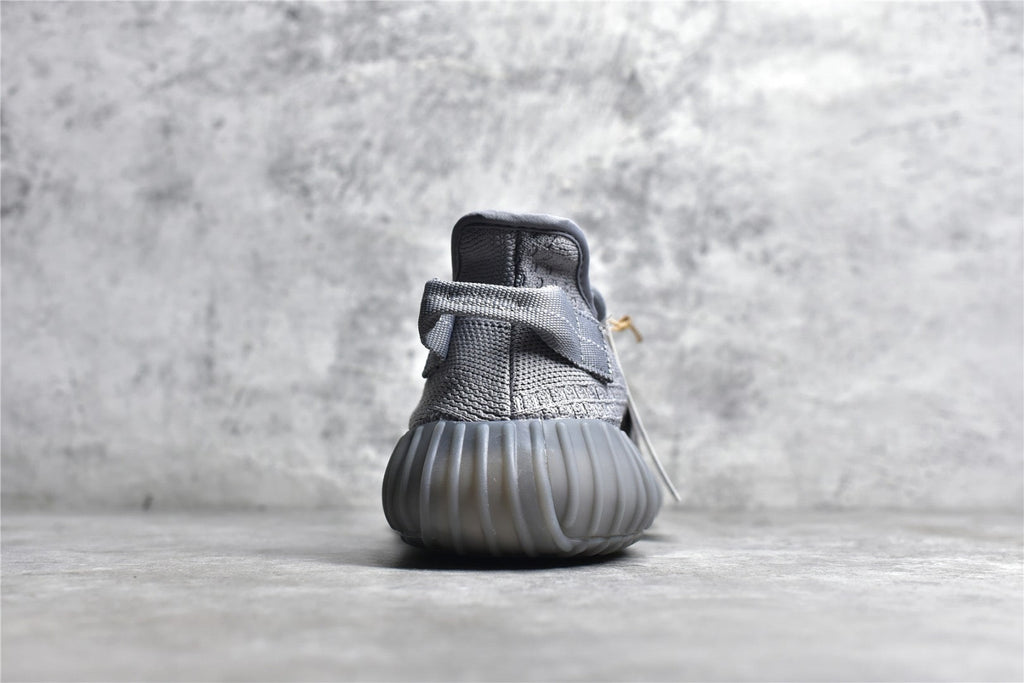 Yeezy 350 v2 10