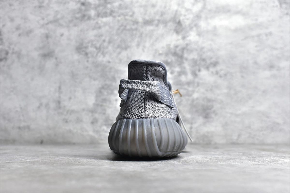 Yeezy 350 v2 10