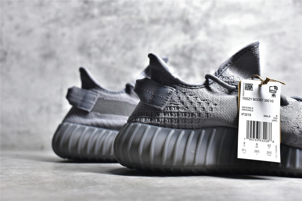 Yeezy 350 v2 10