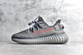 Yeezy 350 v2 05