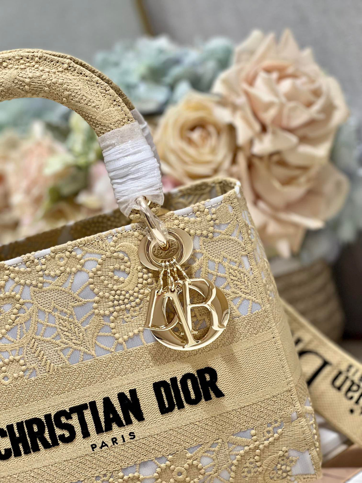 CD Mesh Apricot 24 Lady Dior Bag Canvas 336673