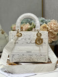 CD Mesh White 24 Lady Dior Bag Canvas 336703