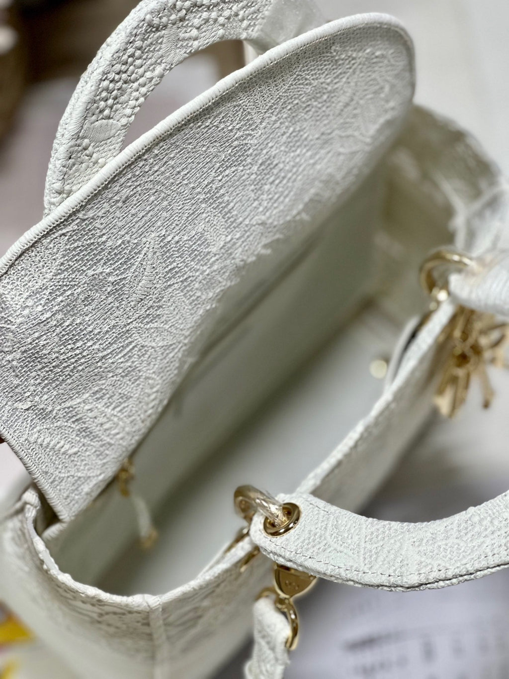 CD Mesh White 24 Lady Dior Bag Canvas 336703