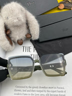 MONTAIGNE SUNGLASS CD2590 IN ACETATE